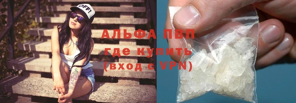 a pvp Новозыбков