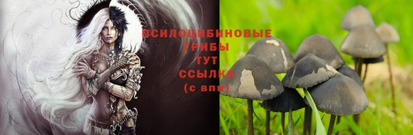 a pvp Новокубанск