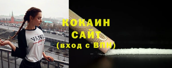 a pvp Новозыбков