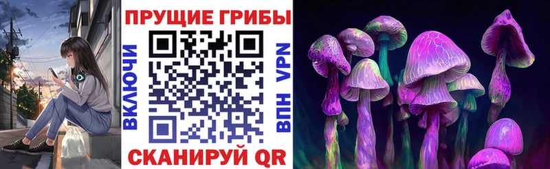 Галлюциногенные грибы прущие грибы Нахабино